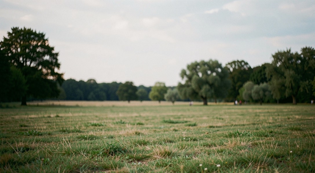 Widok plener fotograficzny w małkowie, z wyraźnym planem pierwszym, spokojnym światłem i krajobrazem bez napisów, znaków ani elementów interfejsu.